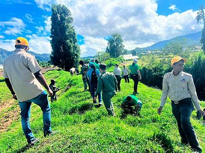 Medio Ambiente inicia Mes de la Reforestación