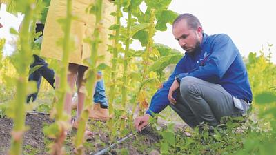 Gobierno invierte más de US$470 millones en modernización agrícola