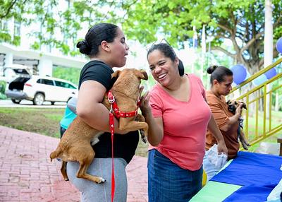 Alcaldía de Santiago realiza feria adopción de perros rescatados